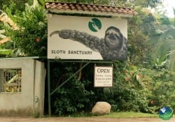 Centro de Rescate Santuario del Perezoso en Costa Rica