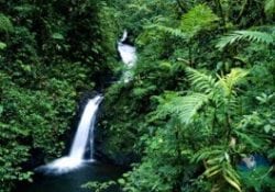costa rica waterfall