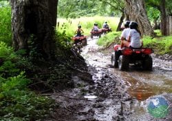Borinquen Adventure Day (ATV, Horseback Riding, Zip Lines & Hot Springs) with Jacamar