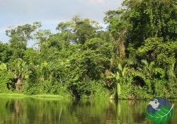 all inclusive resorts on the caribbean coast of costa rica river