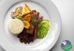 Costa Rica Food