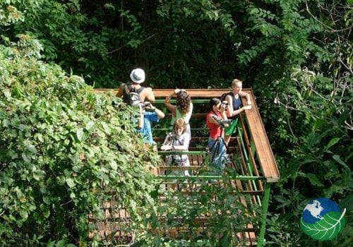 Costa Rica Birding Lodges