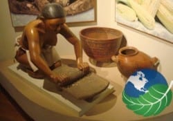 top museums in san jose jade museum