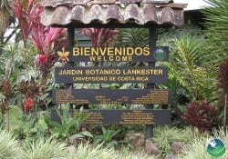 Jardín Botánico Lankester – La naturaleza en su mejor momento!