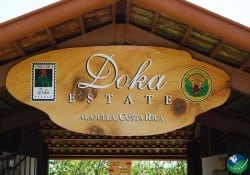 Doka Estate Café Tour