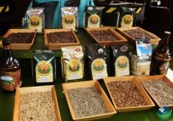 Doka Coffee & La Paz Waterfall Gardens Tour with Expediciones Tropicales