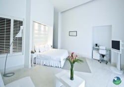 Hotel Shana