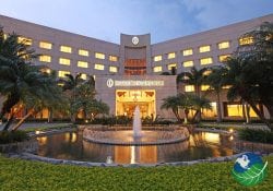 Real InterContinental Night