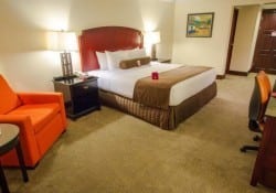 Vista Ballena Standard Room