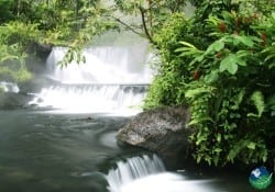 Tabacon Resort & Spa Little Waterfalls