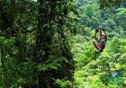 Arenal Sky Trek Canopy