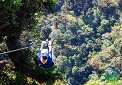 Arenal Sky Trek Trees View