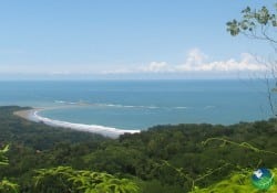 Bahia Ballena