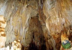 Barra Honda Caverns