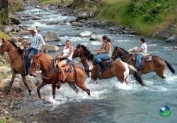 Zip Line & Tarzan Swing by Horseback Riding with Blue River Resort