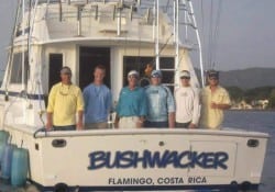 Bushwacker