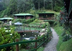 Trogon Lodge Standard Rooms