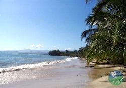 Cahuita National Park Snorkeling Tour with Willie’s Tours