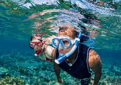 Cano Island Snorkeling Underwater