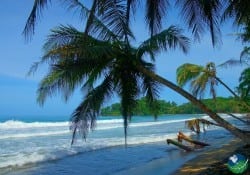 Costa Ricas Karibikküste