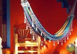 Relax in a hammock at Cariblue Bungalows