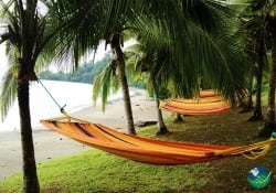 Casa Corcovado Jungle Lodge Hammocks