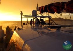 Golf In Paradise Sunset Sailing Cruise