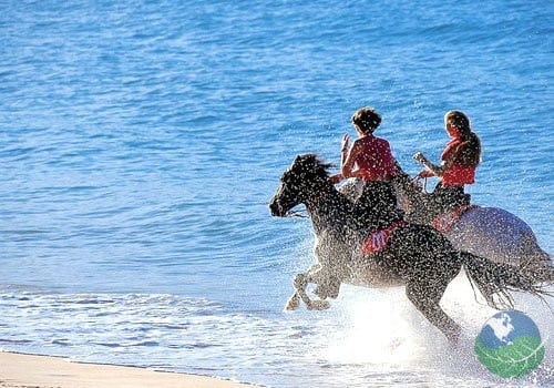 Guanacaste Tours Horseback Riding Beach