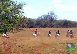 Guanacaste Horseback Riding Nature