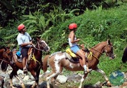 Horseback Riding Manuel Antonio Adventure