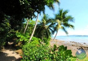 Hotel Jinetes De Osa Beach