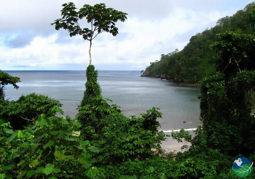Cocos Island Costa Rica - A Word Heritage Site Full of Biodiversity