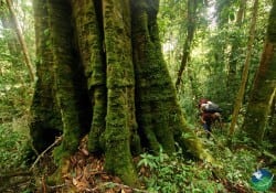 La Amistad International Park