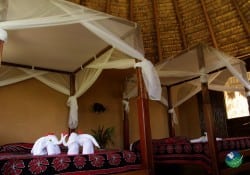 Luna Lodge Carate