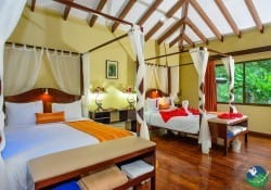 Manatus Hotel Luxury Guest Room