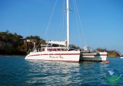 Marlin Del Rey Catamaran Cruise Cruise