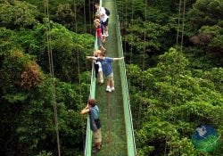 Monteverde Sky Walk Tour