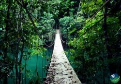 Osa-Peninsula-Bridge