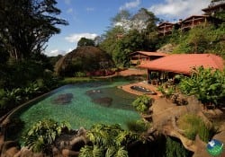 Peace Lodge Pool Area