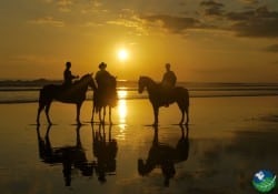 Esterillos Costa Rica View sunset