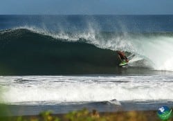 Hotel playa negra Surfing the wave