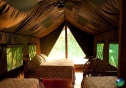 Rafiki Safari Lodge
