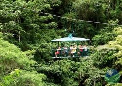 Aerial Tram with Rainforest Adventure