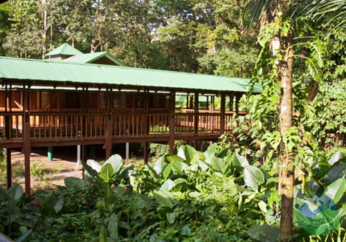 Selva Verde Lodge in Sarapiqui, Costa Rica