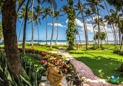 Tamarindo Diria