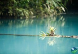 Tenorio Volcano river