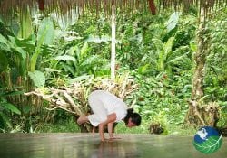 the goddess garden yoga