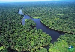 Tortuguero Costa Rica