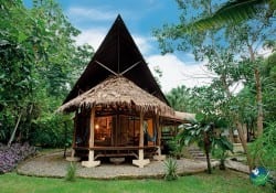 Tree House Lodge House Holiday