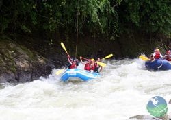 White Water Rafting Savegre River Fun